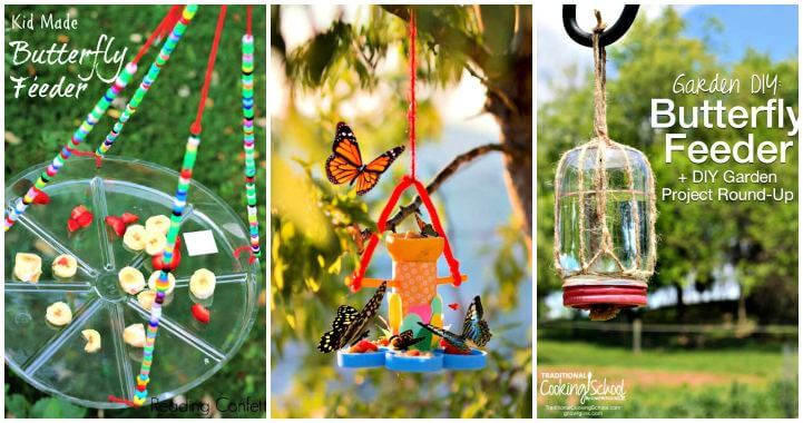 15 Best DIY Butterfly Feeder Ideas For Your Garden, DIY Butterfly Feeders, DIY Feeder Ideas, DIY Garden Projects, DIY Crafts