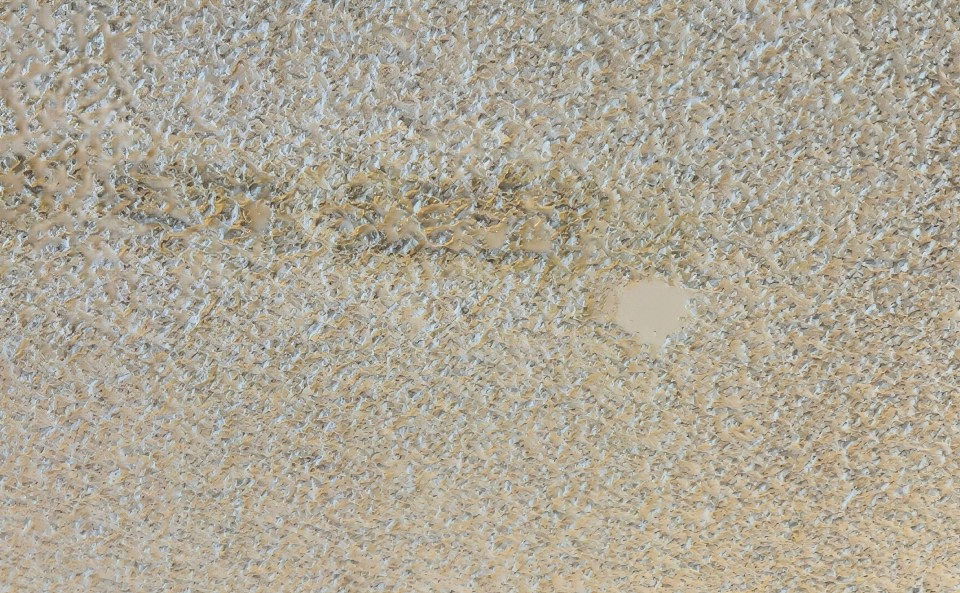 applying a second coat