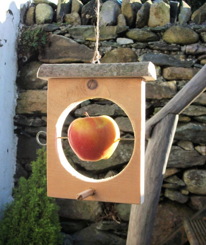 Building Your Own Bird Feeder