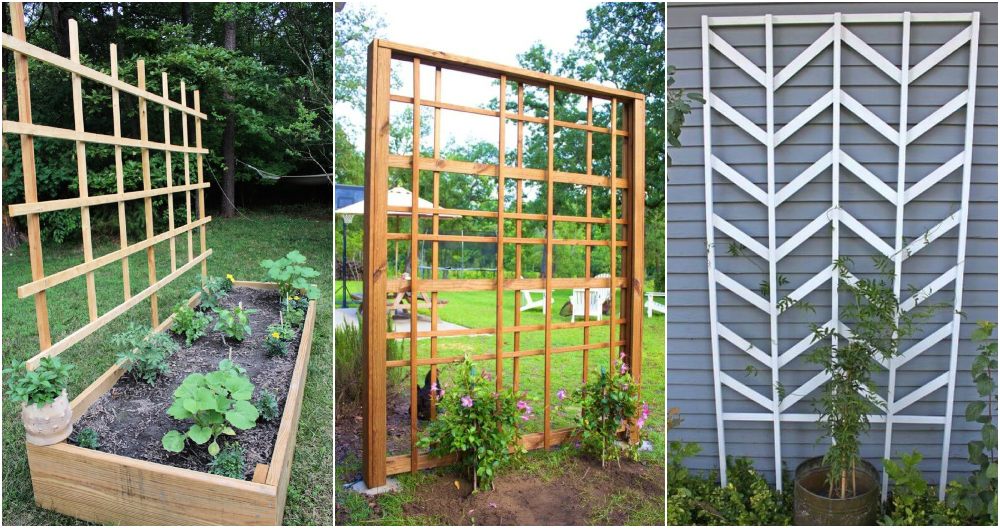 diy garden trellis ideas