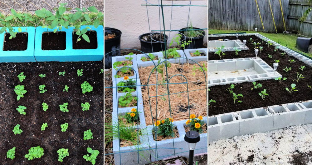 easy cinder block garden ideas