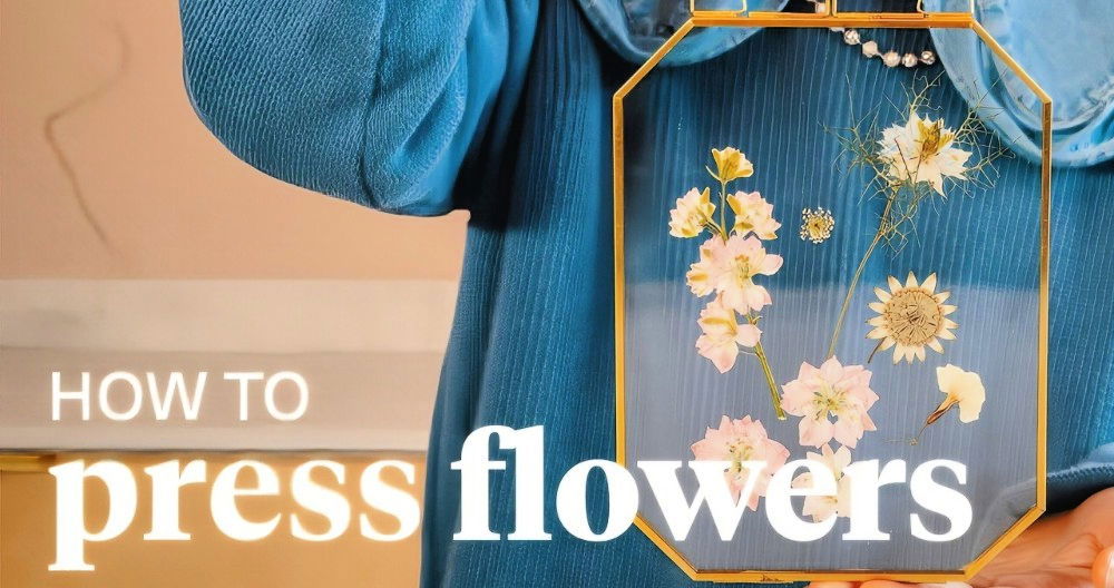 how to press flowers without turning brown