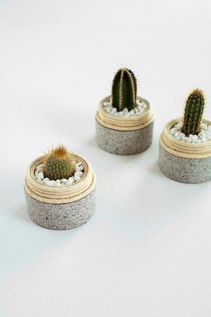 Upcycle Plastic Jars Into Mini Planters